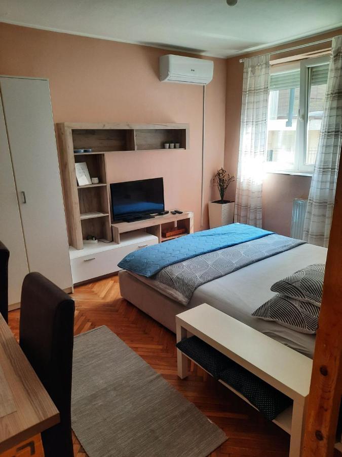 Apartmani Biljana Lazic Vrnjačka Banja Eksteriør billede
