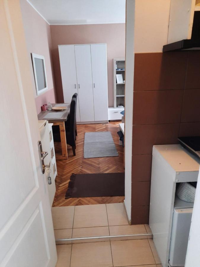 Apartmani Biljana Lazic Vrnjačka Banja Eksteriør billede