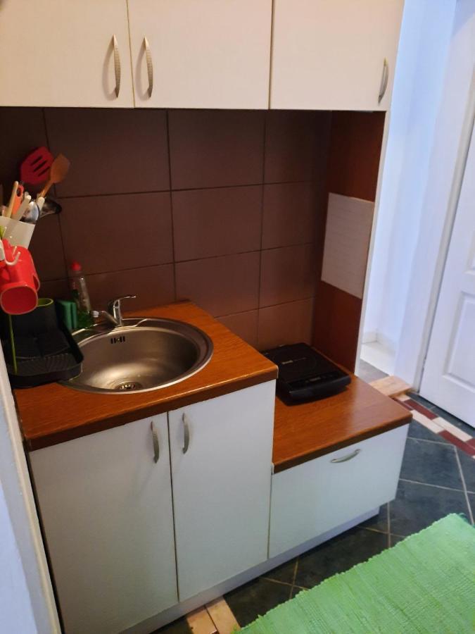 Apartmani Biljana Lazic Vrnjačka Banja Eksteriør billede
