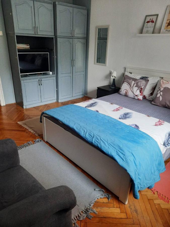 Apartmani Biljana Lazic Vrnjačka Banja Eksteriør billede